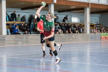 Bild 229 - F HSG Kremperheide/Muensterdorf - ATSV Stockelsdorf 2 : Ergebnis: 47:32